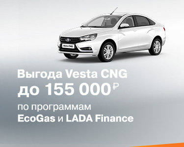 Программа ''ECOGAS''