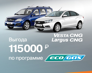 Программа ''ECOGAS''